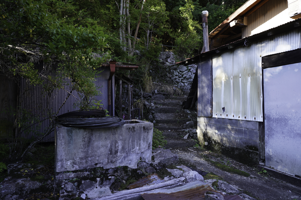 f:id:haikutu:20210617201243j:plain