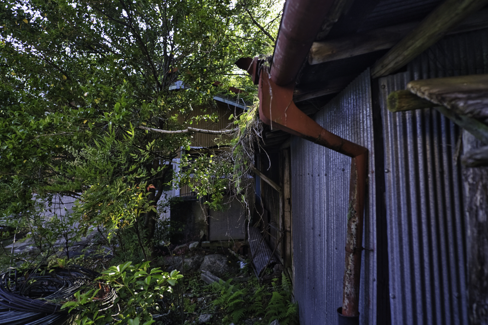 f:id:haikutu:20210617201252j:plain