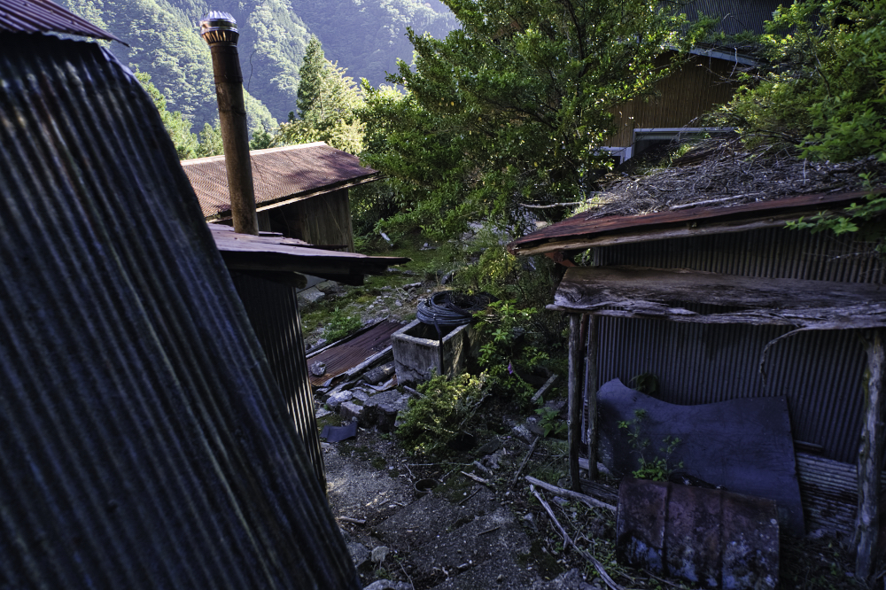 f:id:haikutu:20210617201259j:plain