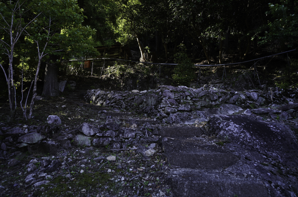 f:id:haikutu:20210617201310j:plain