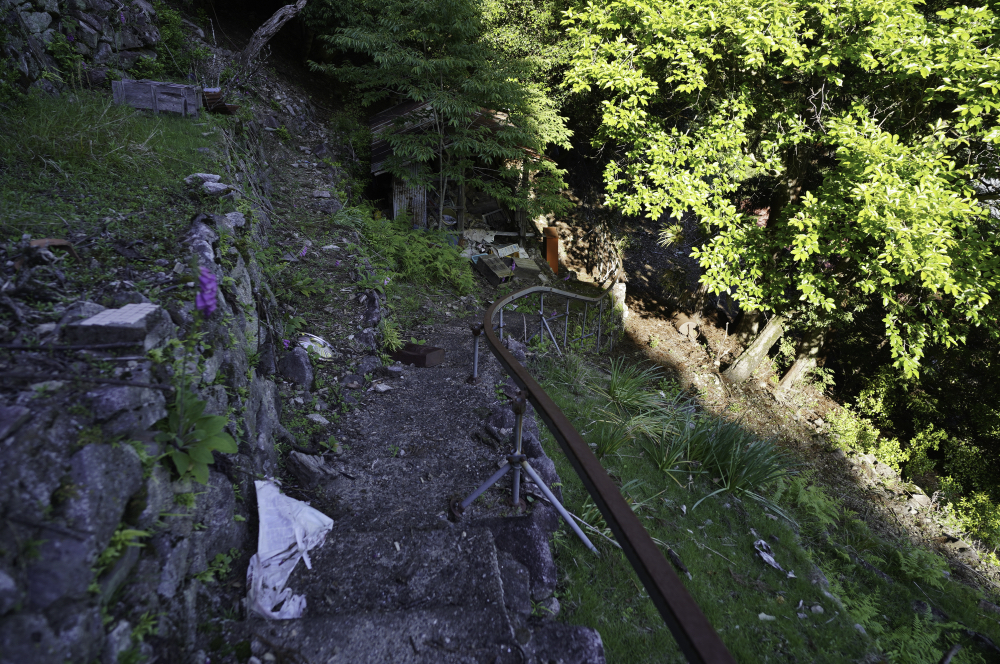 f:id:haikutu:20210617201315j:plain