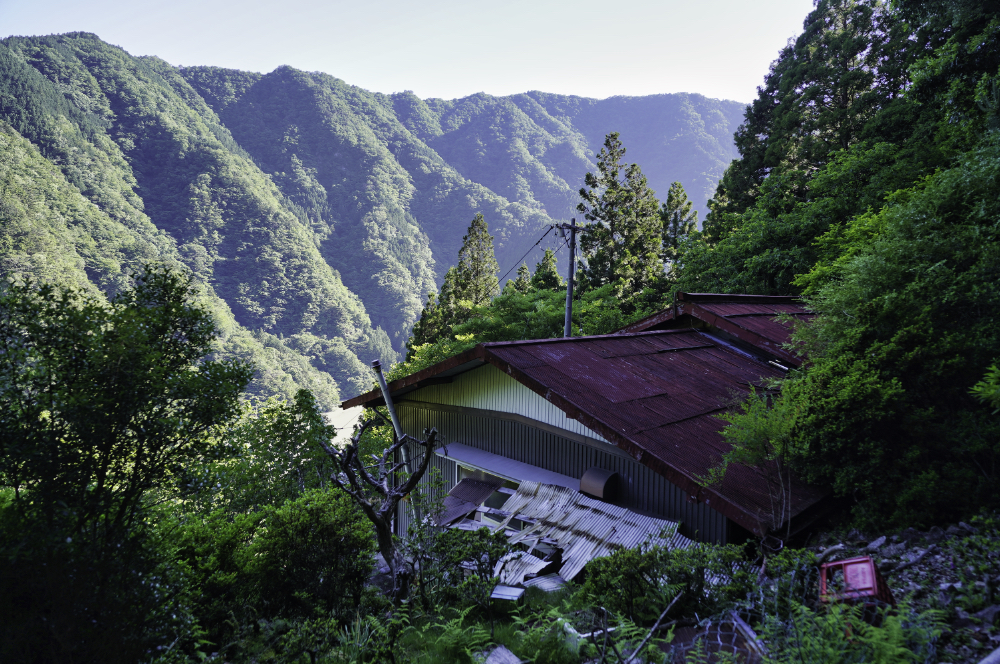 f:id:haikutu:20210617201324j:plain