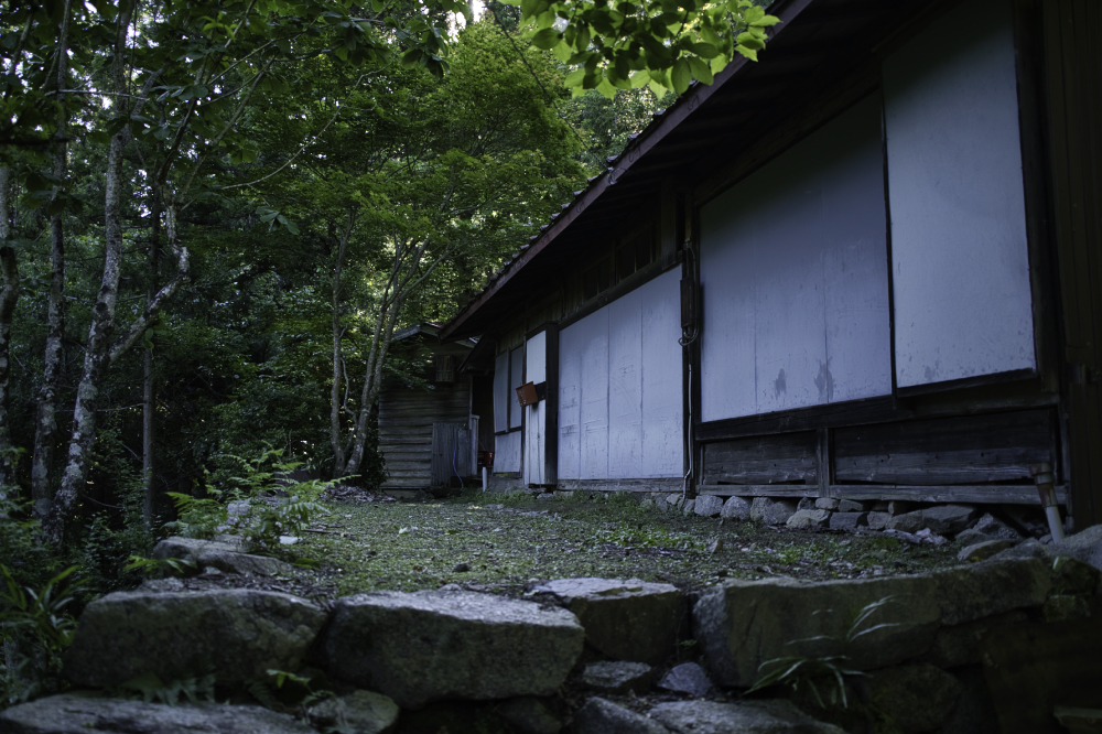 f:id:haikutu:20210617203054j:plain