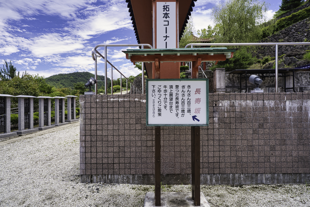 f:id:haikutu:20210624024814j:plain