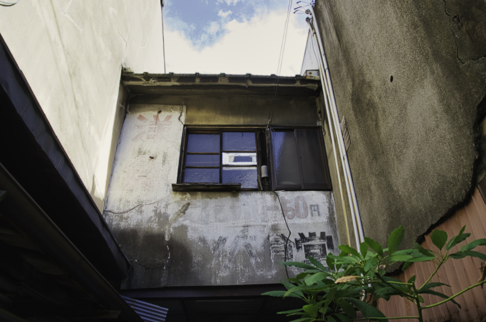 f:id:haikutu:20210629234119j:plain