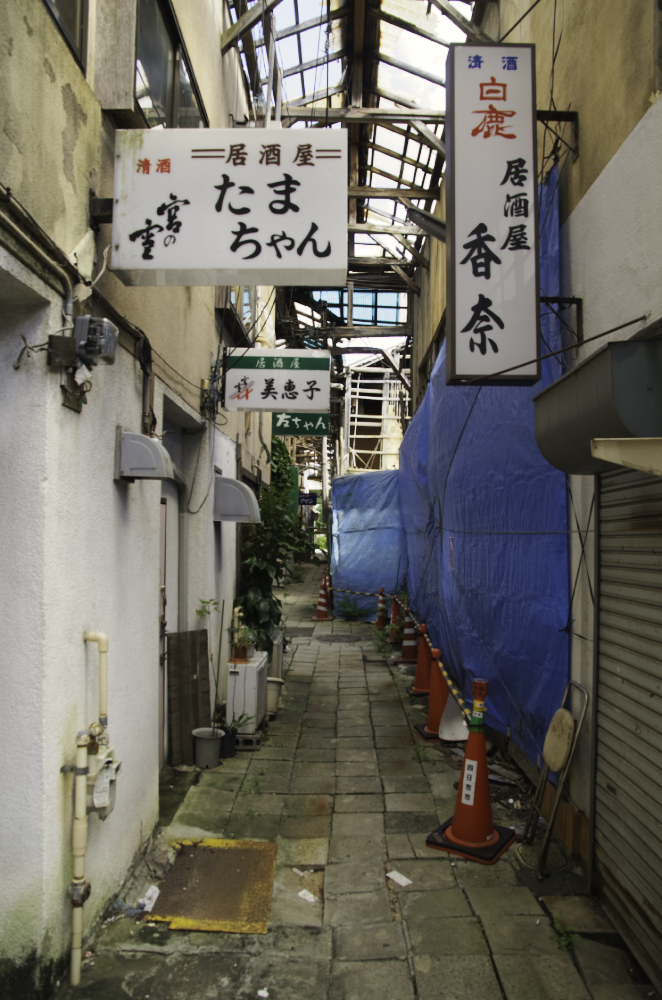 f:id:haikutu:20210630010938j:plain