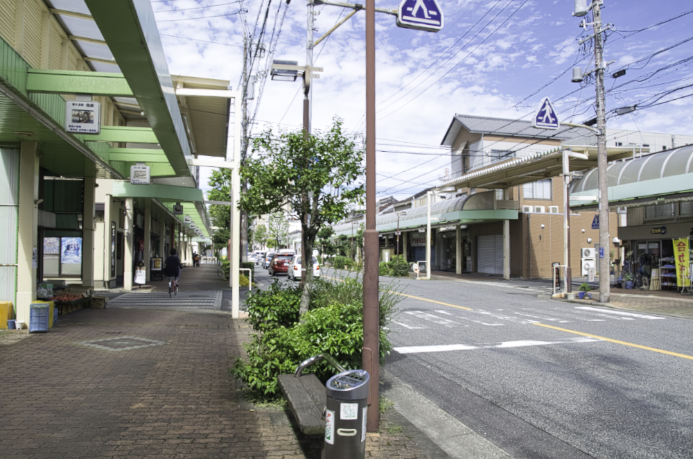 f:id:haikutu:20210630011109j:plain