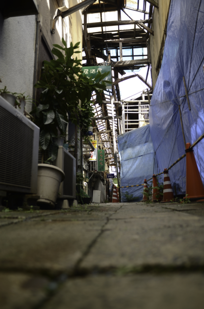 f:id:haikutu:20210630011212j:plain