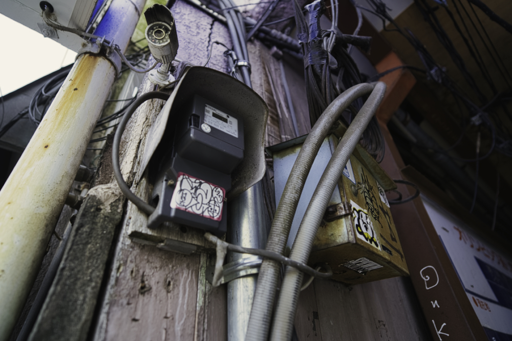 f:id:haikutu:20210630031532j:plain