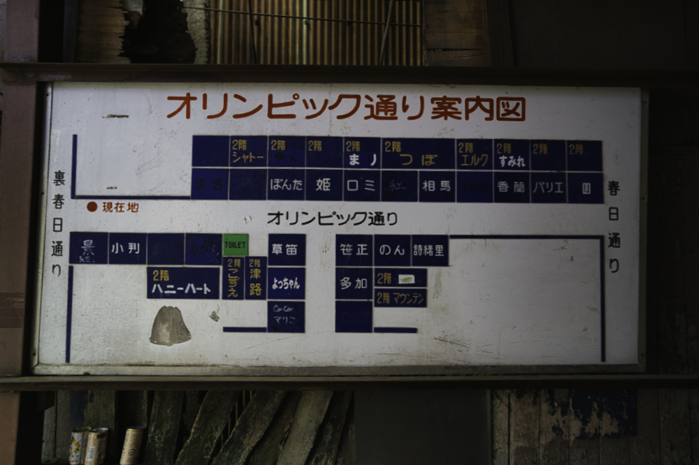 f:id:haikutu:20210630031551j:plain