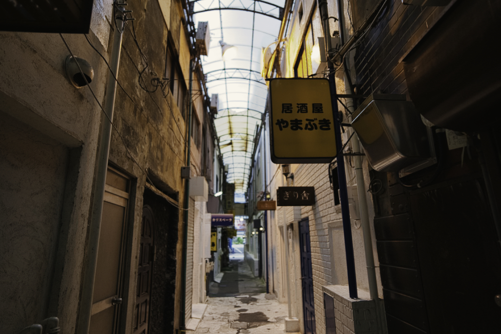 f:id:haikutu:20210630031721j:plain