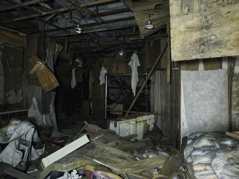 f:id:haikutu:20210716165954j:plain