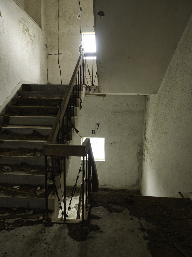 f:id:haikutu:20210716174217j:plain