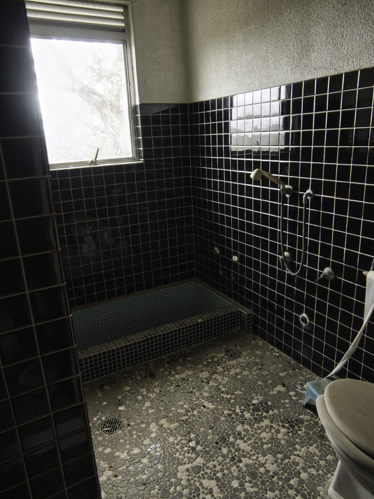 f:id:haikutu:20210716182035j:plain