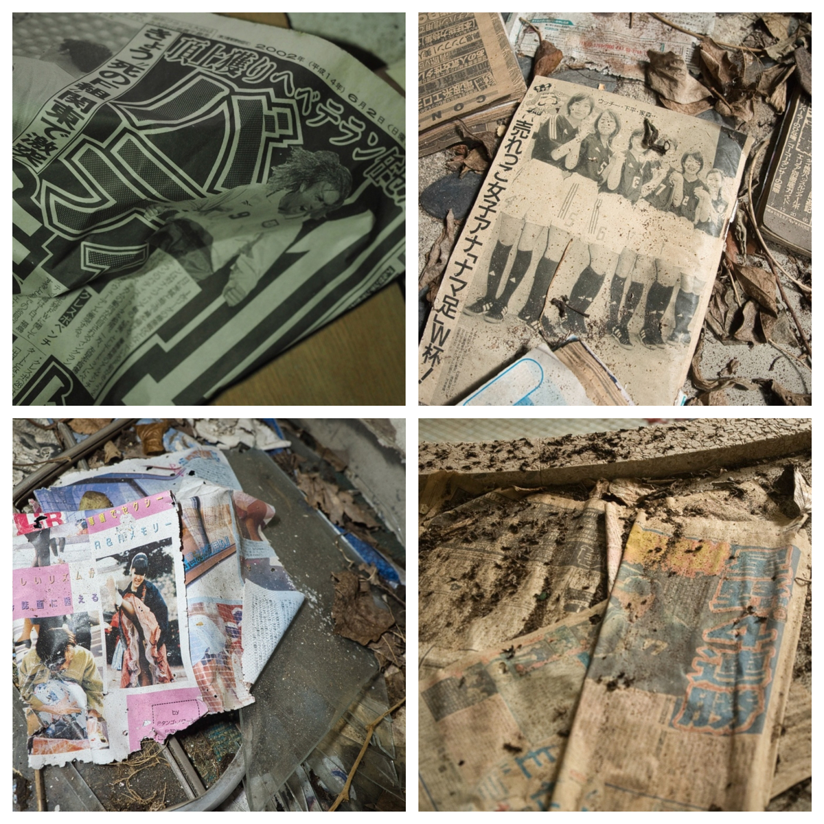 f:id:haikutu:20210716182714j:plain