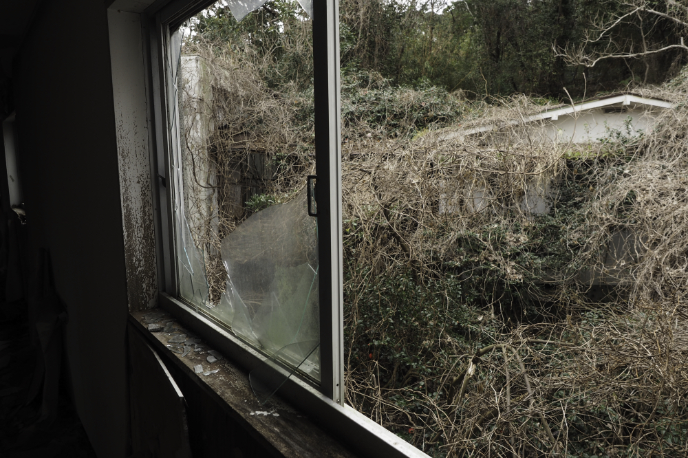 f:id:haikutu:20210716185427j:plain