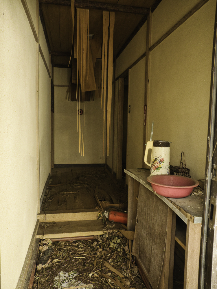 f:id:haikutu:20210716185542j:plain