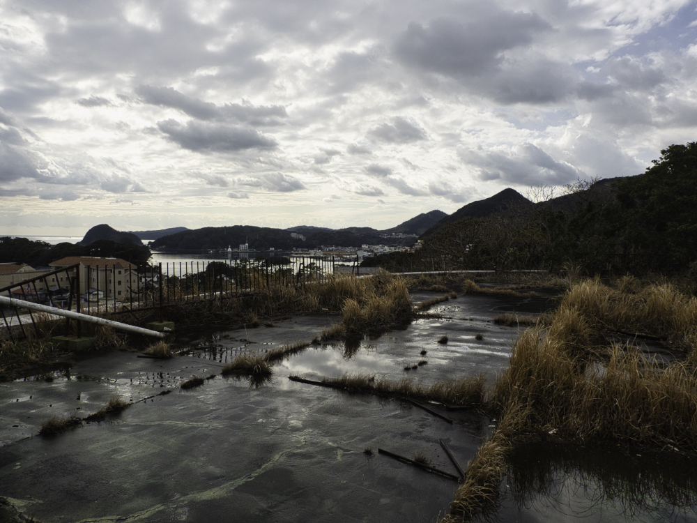 f:id:haikutu:20210716185957j:plain