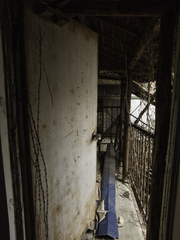 f:id:haikutu:20210716190416j:plain