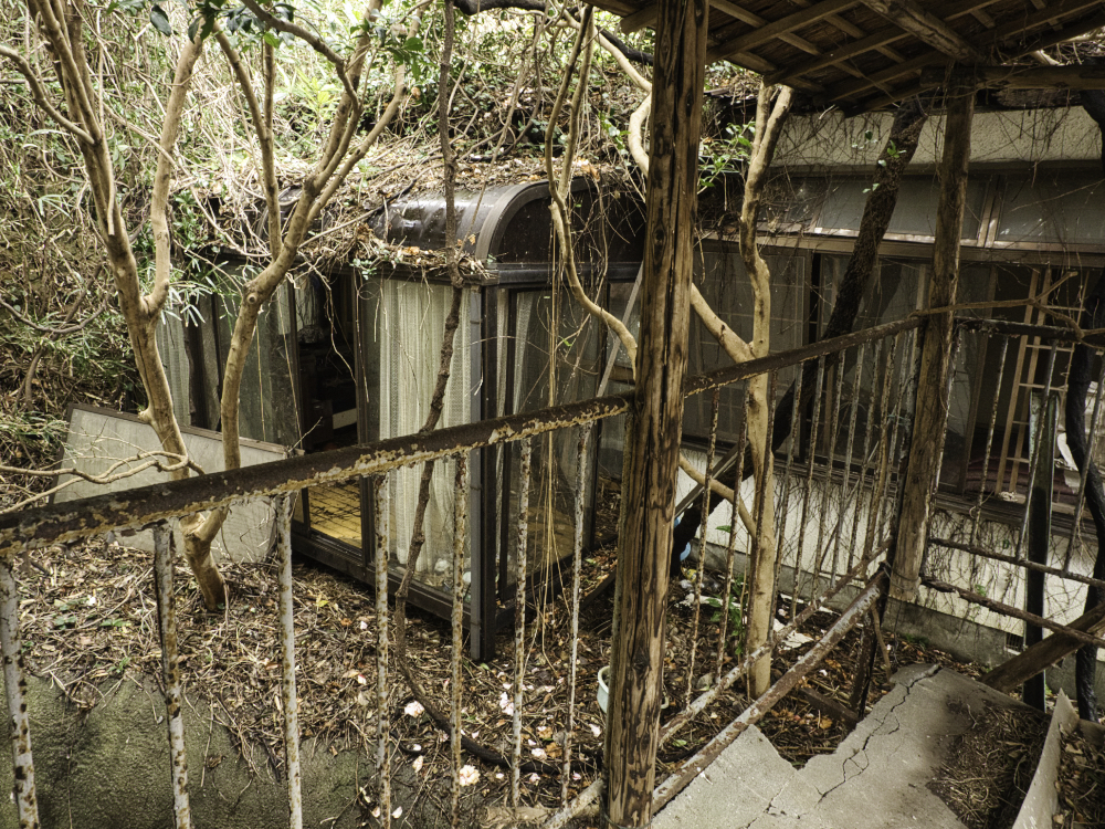 f:id:haikutu:20210716190422j:plain