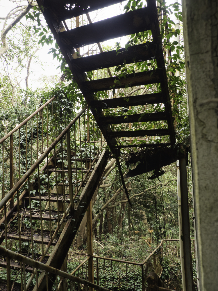 f:id:haikutu:20210716191340j:plain