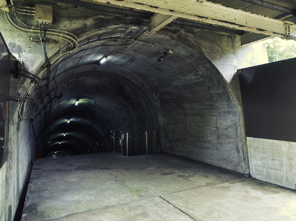 f:id:haikutu:20210719214430j:plain