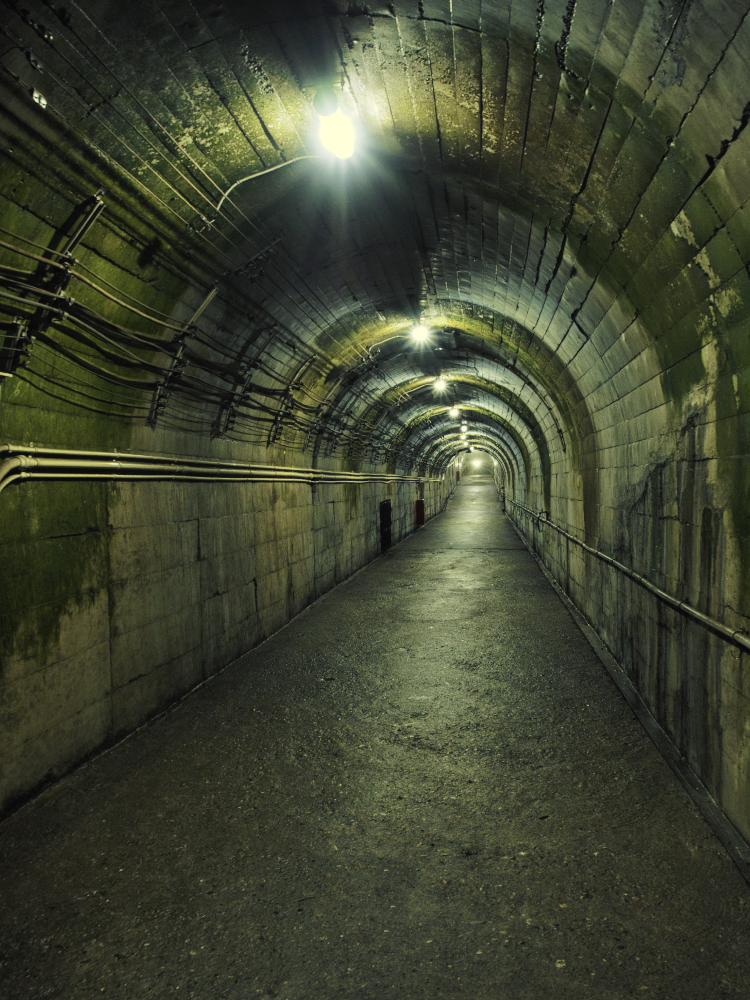 f:id:haikutu:20210719222430j:plain