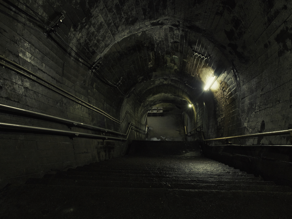 f:id:haikutu:20210719224848j:plain