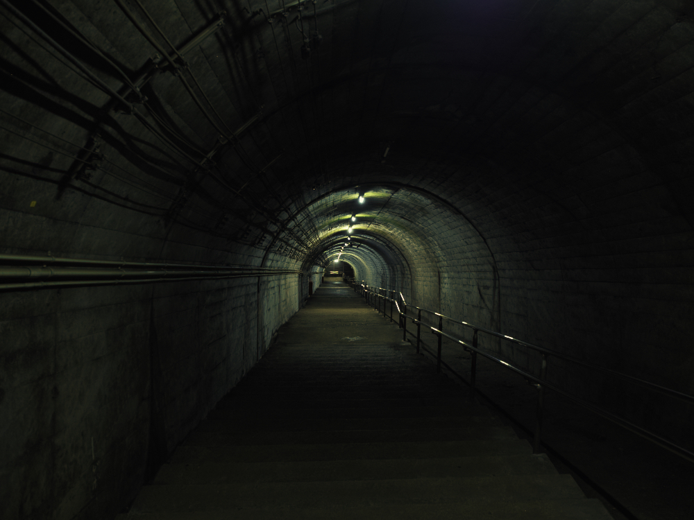 f:id:haikutu:20210720112643j:plain