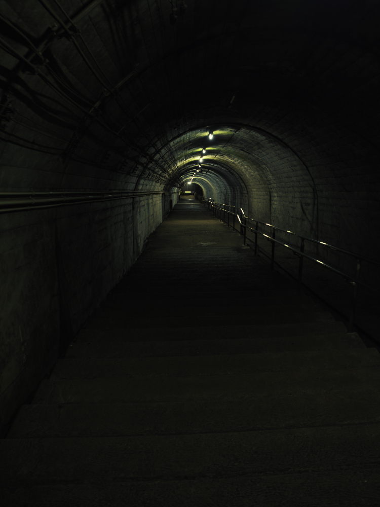 f:id:haikutu:20210720112651j:plain