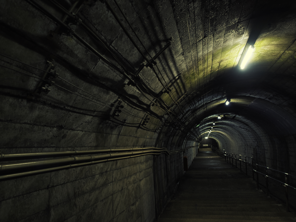 f:id:haikutu:20210720112657j:plain