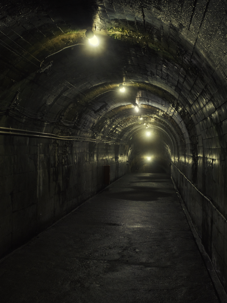 f:id:haikutu:20210720112710j:plain