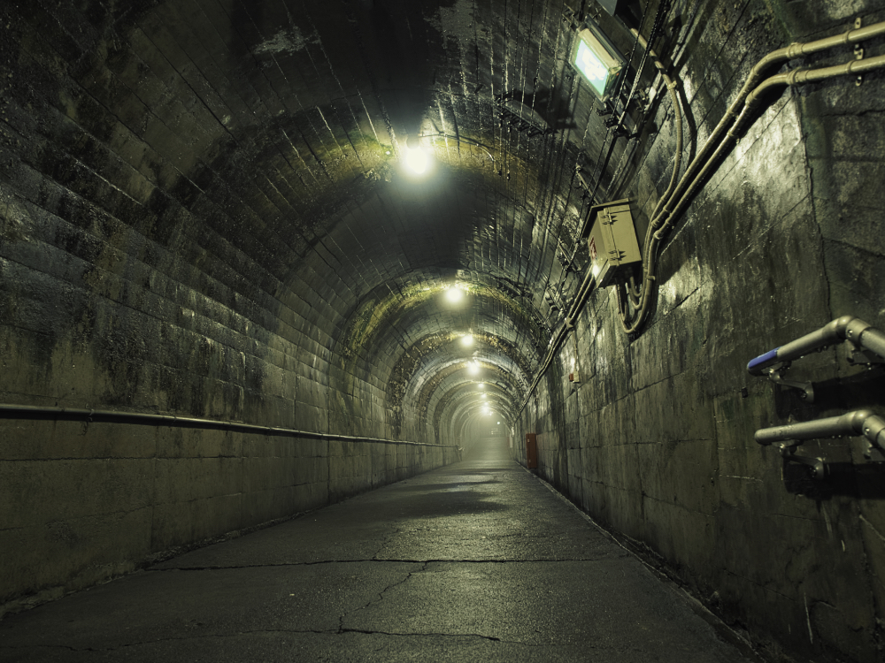 f:id:haikutu:20210720112816j:plain