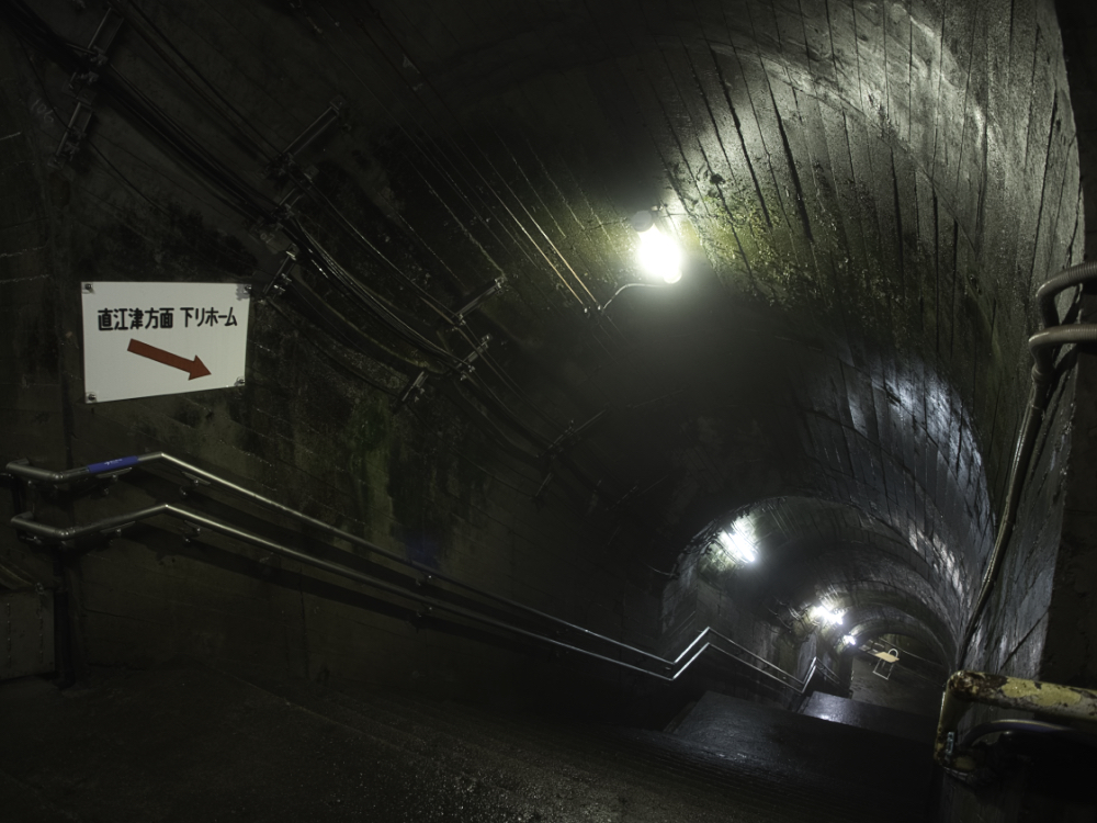 f:id:haikutu:20210720112823j:plain