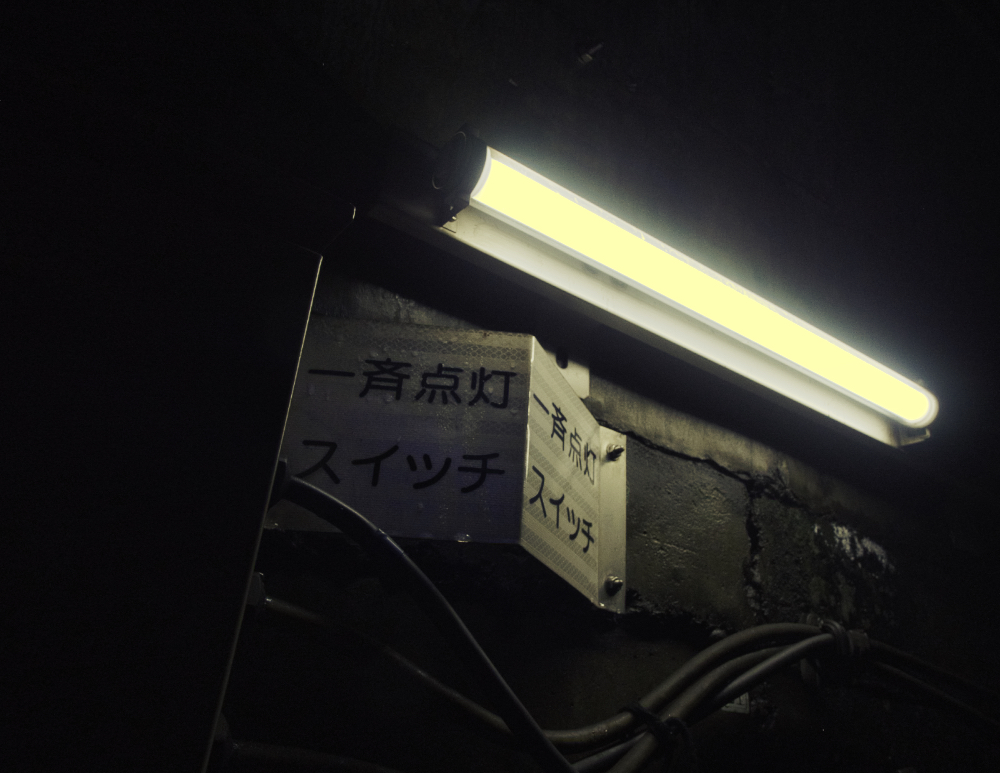 f:id:haikutu:20210720112850j:plain