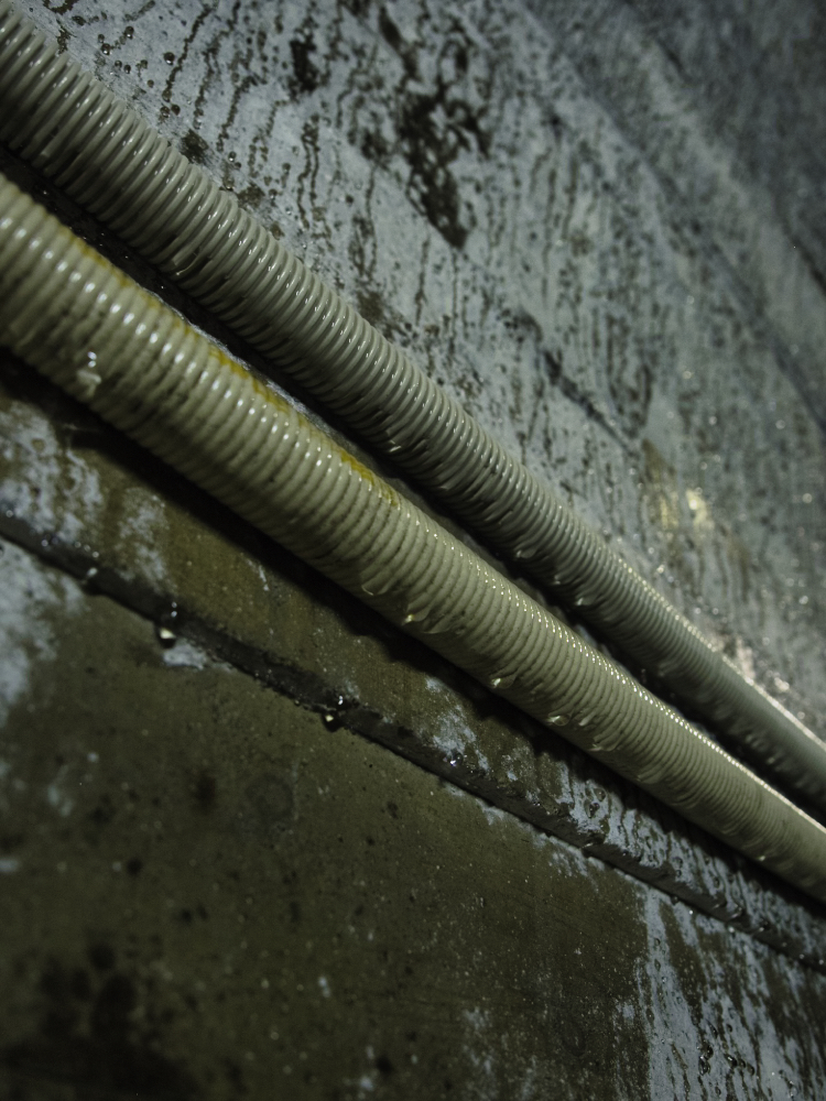 f:id:haikutu:20210720112932j:plain