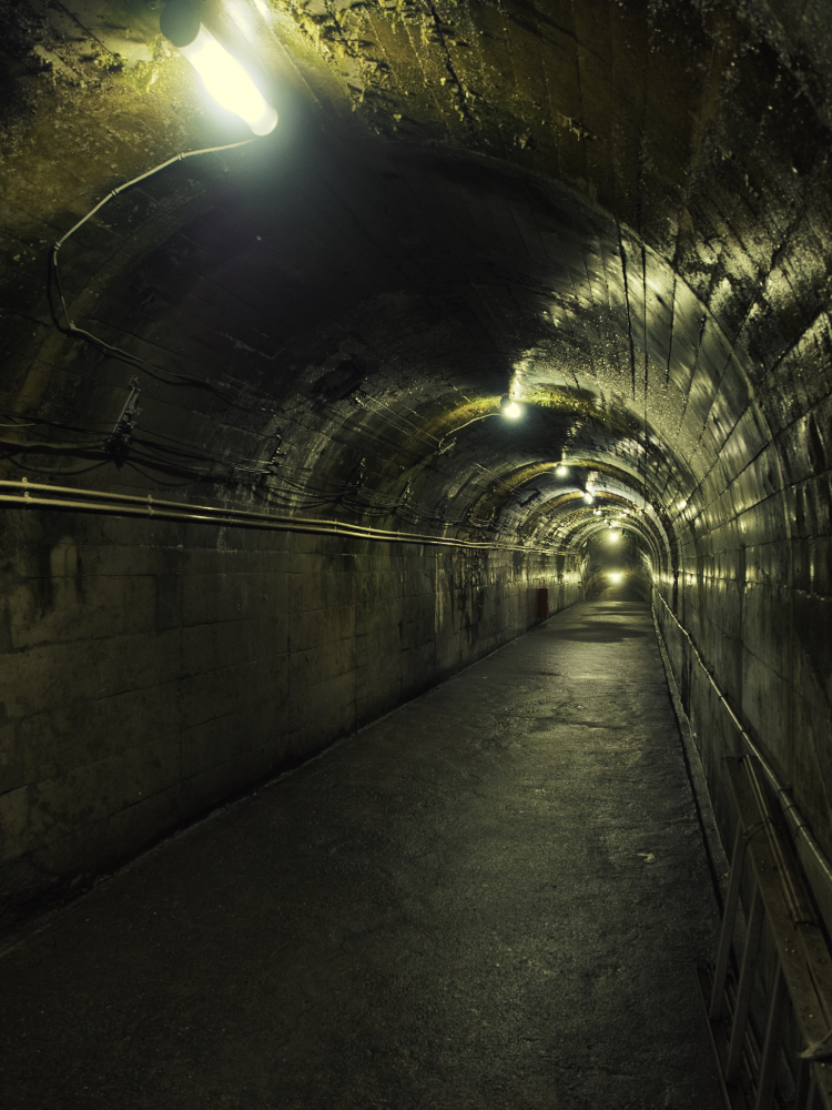 f:id:haikutu:20210720112940j:plain