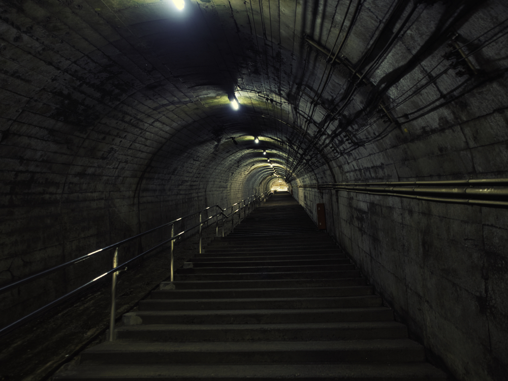 f:id:haikutu:20210720112950j:plain