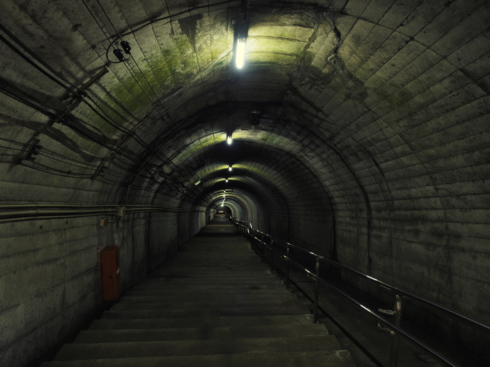 f:id:haikutu:20210720112956j:plain