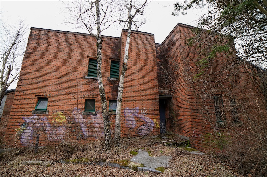 f:id:haikutu:20210814184212j:image