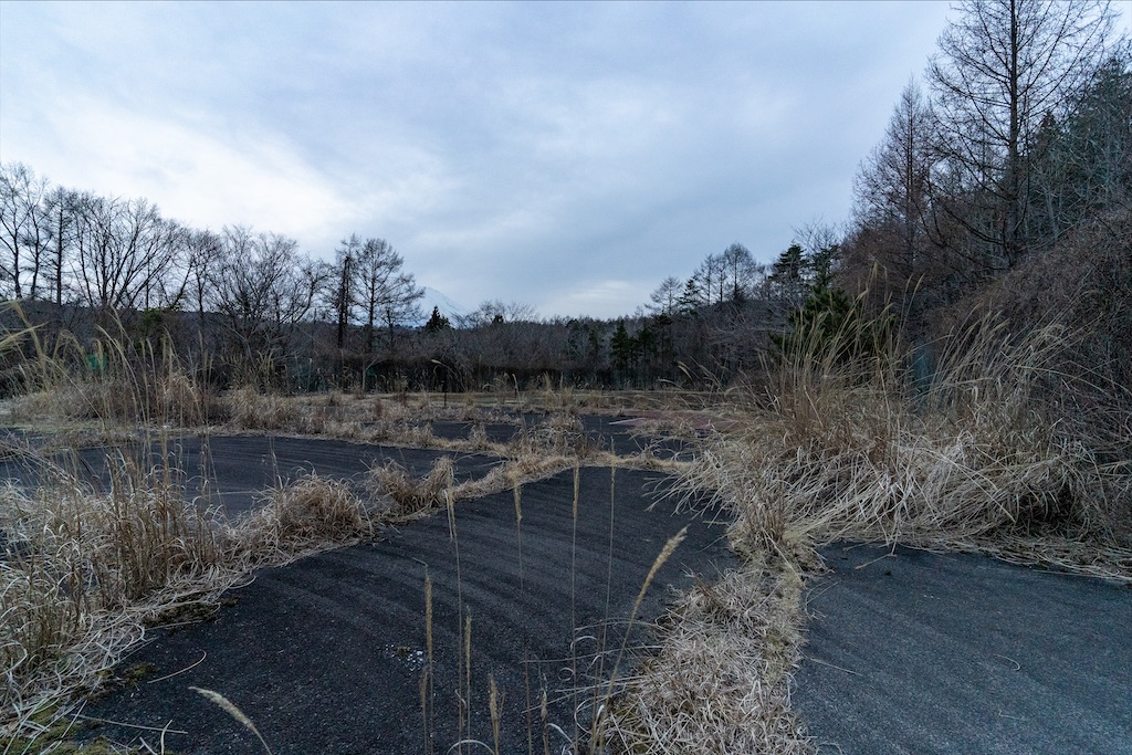 f:id:haikutu:20210821235033j:image