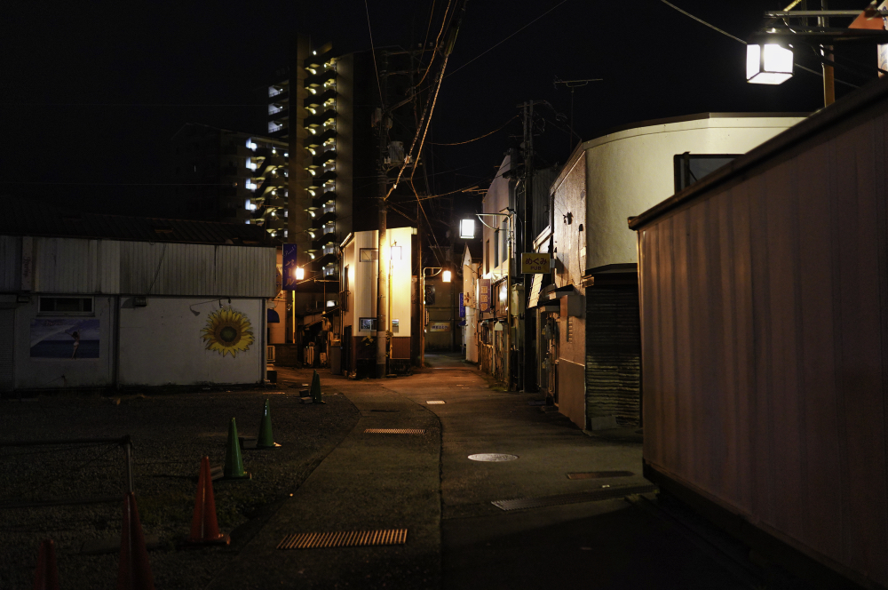 f:id:haikutu:20211003004618j:plain