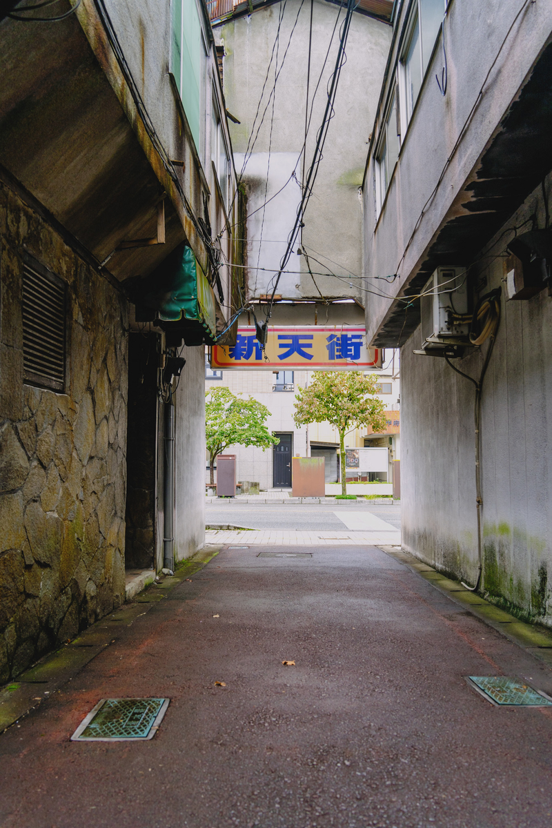 f:id:haikutu:20211009221502j:plain