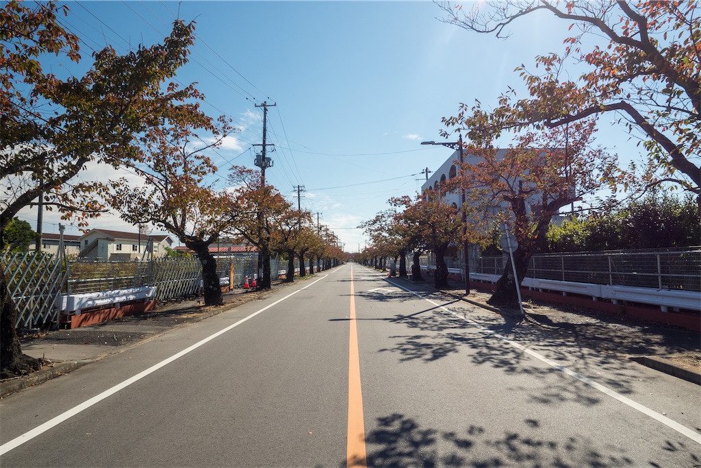 f:id:haikutu:20211115142024j:image