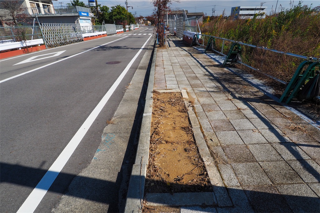 f:id:haikutu:20211115164452j:image