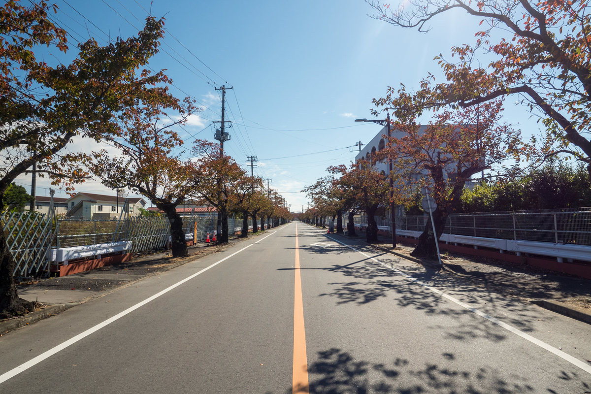 f:id:haikutu:20211120105621j:plain