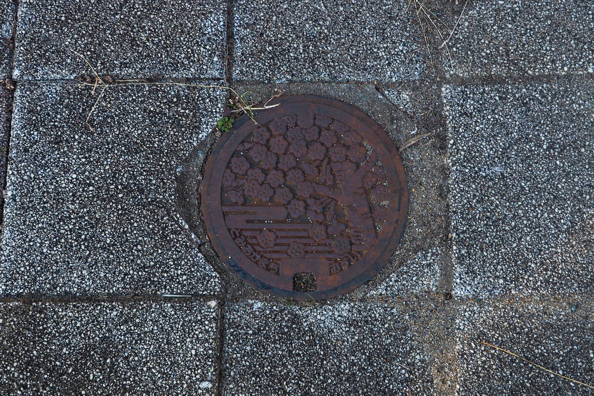 f:id:haikutu:20211120105714j:plain