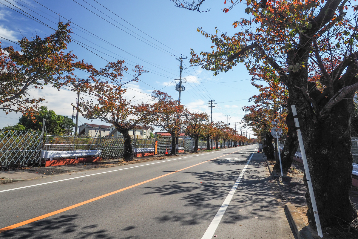 f:id:haikutu:20211120112137j:plain