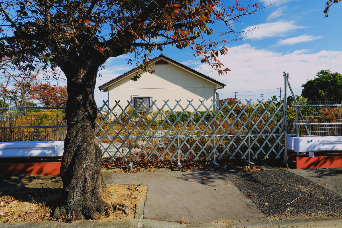 f:id:haikutu:20211120112147j:plain