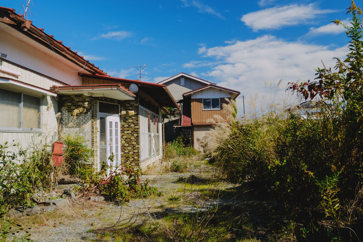 f:id:haikutu:20211120112221j:plain